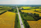 Bán đất 10000m2 đât Bình Thuận giá 684 triệu có sổ đỏ