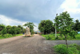Chủ gửi bán gấp miếng đất ngay KDL Đảo yến nằm ngay trung tâm Huyện Đồng Phú, vị trí đẹp