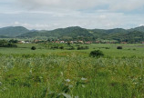 Bán lô đất giá tốt diện tích 16244M2 xã Sơn Hà, huyện Sơn Hoà, tỉnh Phú Yên.
