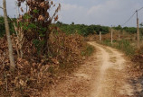 Giá ngộp cần bán lô đất 6400M2 Xã EaDah, Huyện Krông năng,, Tỉnh Đắk lắk