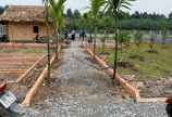 Bán 1 sào đất + nhà vườn 30m2 ở Tân Châu Tây Ninh,trồng sẵn mít.
