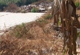 Cần bán gấp đất sào 1000m2 có 100m2 Thổ cư giá 1ty6 Sông Thảo Trảng Bom Đồng Nai